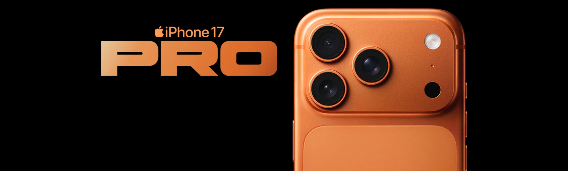 Banner Principal 3